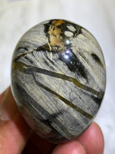Load image into Gallery viewer, Silver Leaf Jasper Egg
