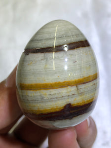 Nguni Egg