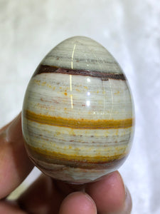 Nguni Egg