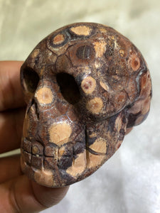 Galaxy Jasper Skull