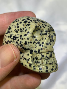Dalmatian Jasper Skull