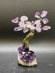 Feng Shui Fortune Tree - Small