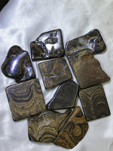 Stromatolite Slabs