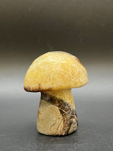 Load image into Gallery viewer, Septarian Mushroom
