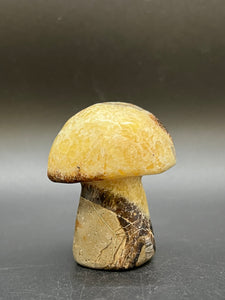 Septarian Mushroom