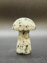 Load image into Gallery viewer, Kiwi Jasper Mushroom
