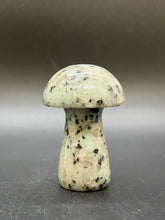 Load image into Gallery viewer, Kiwi Jasper Mushroom
