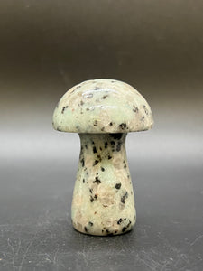 Kiwi Jasper Mushroom