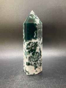 Tree Agate Point