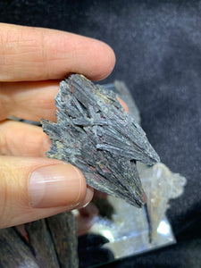 Black Kyanite - Small - 4 Stones