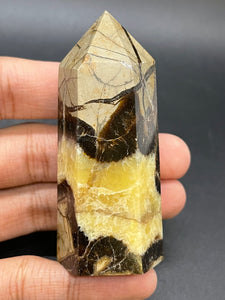 Septarian Point