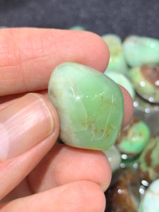 Chrysoprase Tumbled