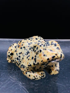 Dalmatian Jasper frog
