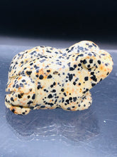 Load image into Gallery viewer, Dalmatian Jasper frog
