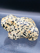 Load image into Gallery viewer, Dalmatian Jasper frog
