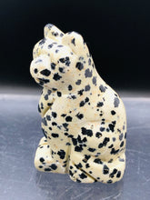 Load image into Gallery viewer, Dalmatian Jasper cat
