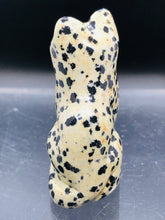 Load image into Gallery viewer, Dalmatian Jasper cat
