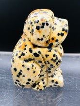 Load image into Gallery viewer, Dalmatian Jasper Dog
