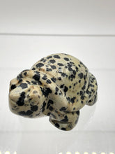 Load image into Gallery viewer, Dalmatian Jasper Turtle
