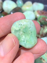 Load image into Gallery viewer, Chrysoprase Tumbled
