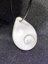 Load image into Gallery viewer, Shiva Eye Shell (Drop Shape) Pendant
