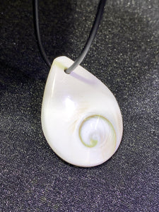 Shiva Eye Shell (Drop Shape) Pendant