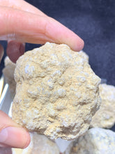 Load image into Gallery viewer, Crack Open Geode
