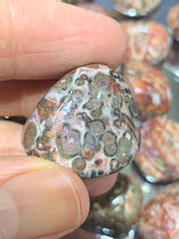 Load image into Gallery viewer, Leopardite Tumbled
