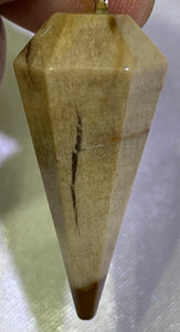 Petrified Wood Pendulum