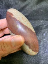 Load image into Gallery viewer, Shiva Lingam Stone Egg - Large
