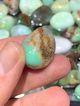 Load image into Gallery viewer, Chrysoprase Tumbled
