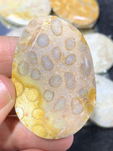 Load image into Gallery viewer, Fossil Coral Beads
