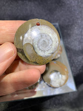 Load image into Gallery viewer, Ammonite Fossil Pendant
