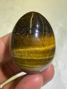 Yellow Tiger's Egg